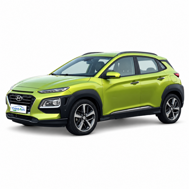 2019 Hyundai Encino exterior