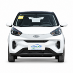 2024 Chery Little Ant exterior