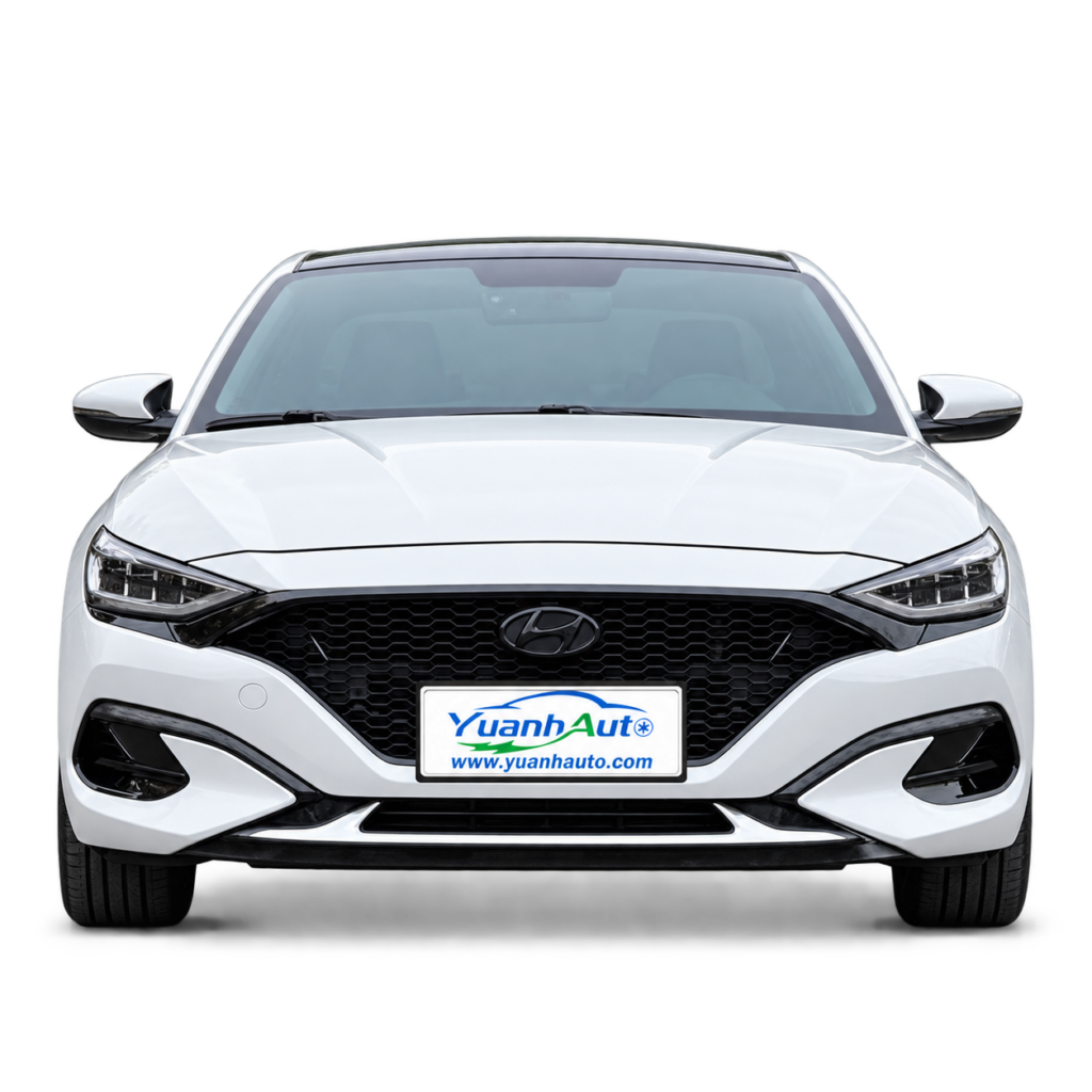 2019 Hyundai Lafesta exterior
