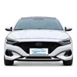2019 Hyundai Lafesta exterior
