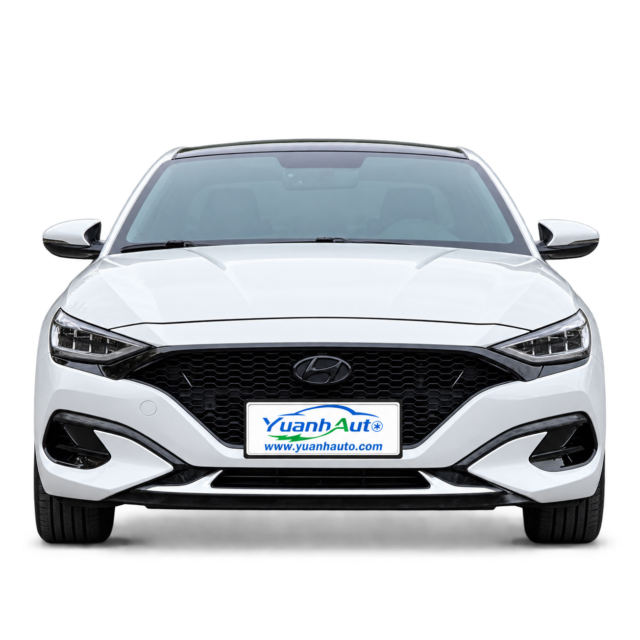 2019 Hyundai Lafesta exterior