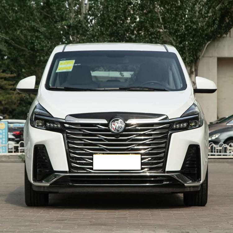 buick gl8 vehicle photo 4