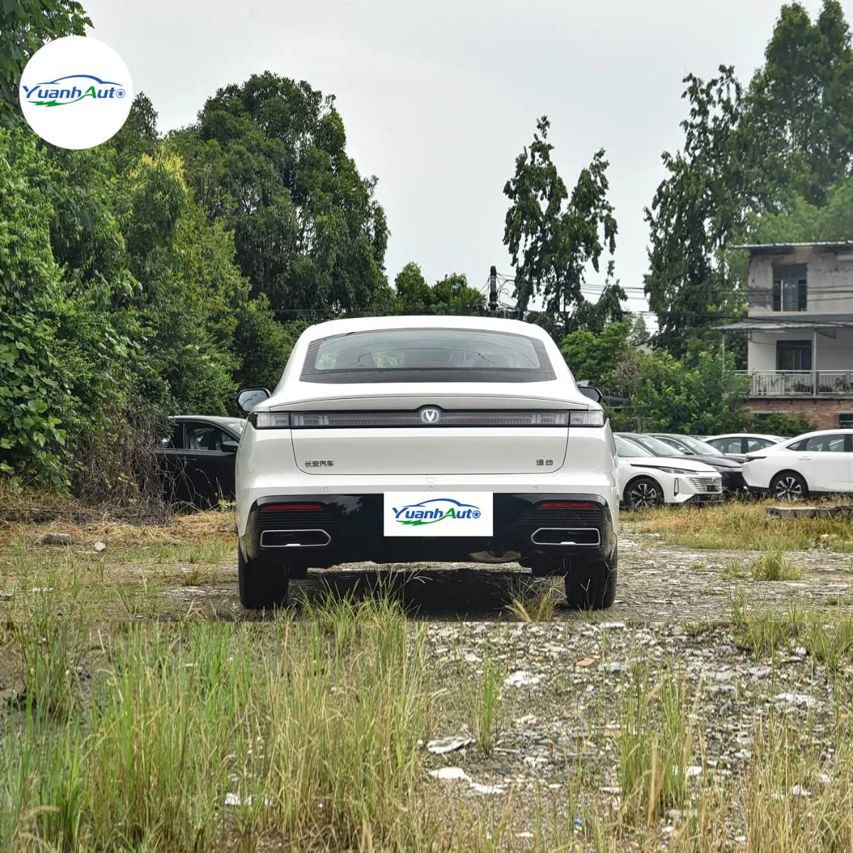 2026 Changan Eado vehicle photo 6