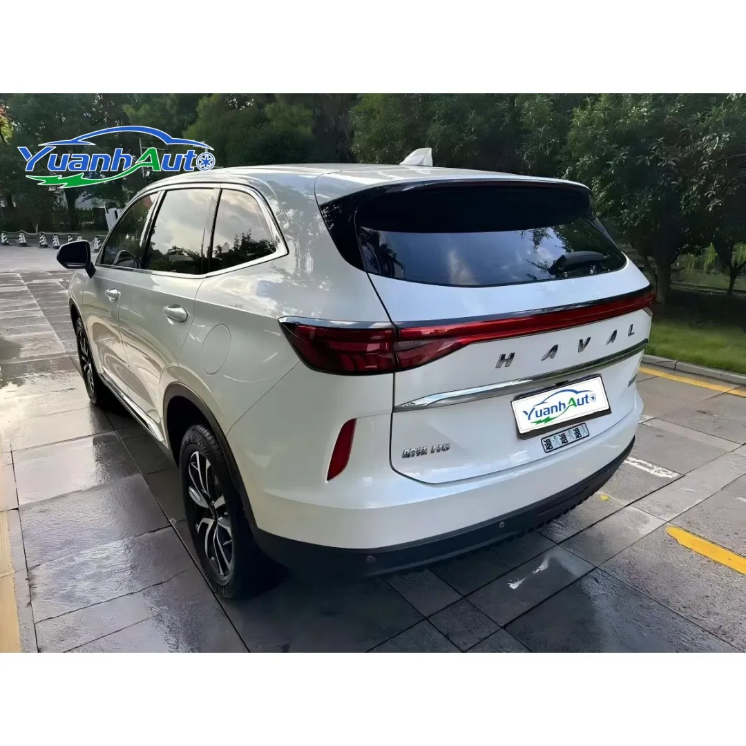 2021 Haval H6 vehicle photo 6