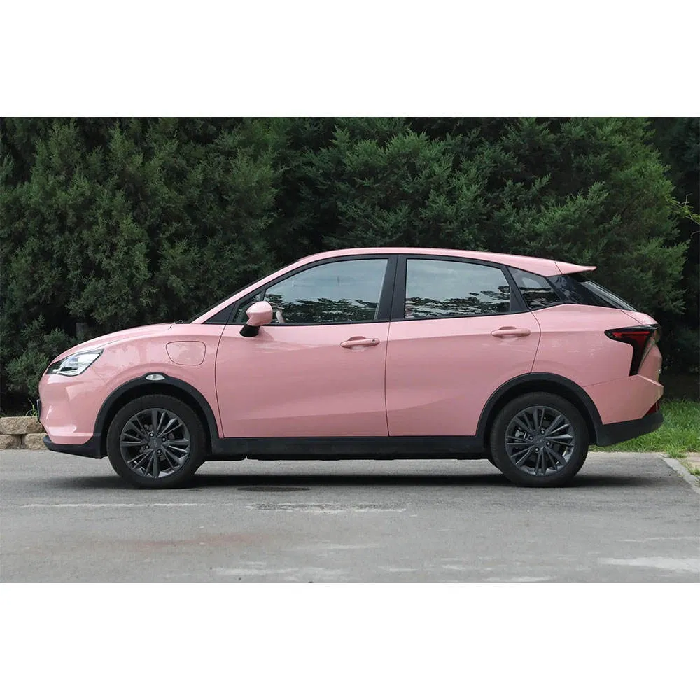 2025 Neta V vehicle photo 5