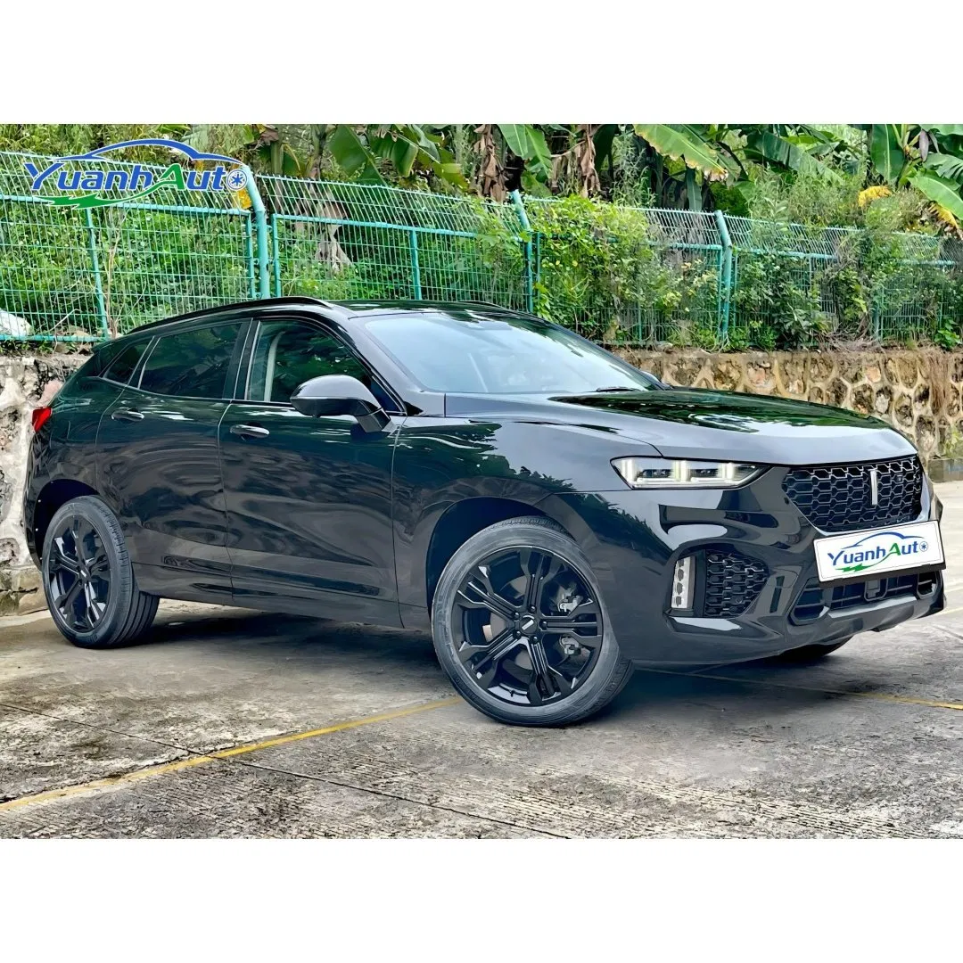 2019 VV7 vehicle photo 4