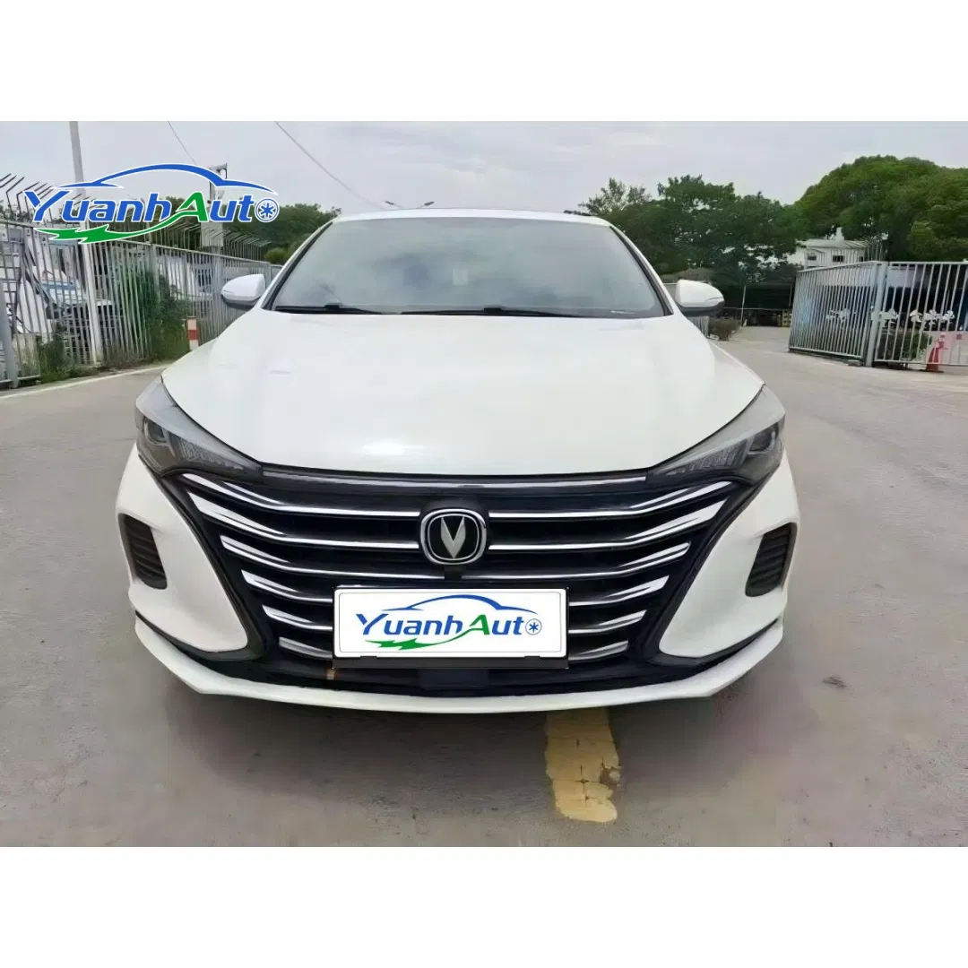2019 Changan EADO vehicle photo 3