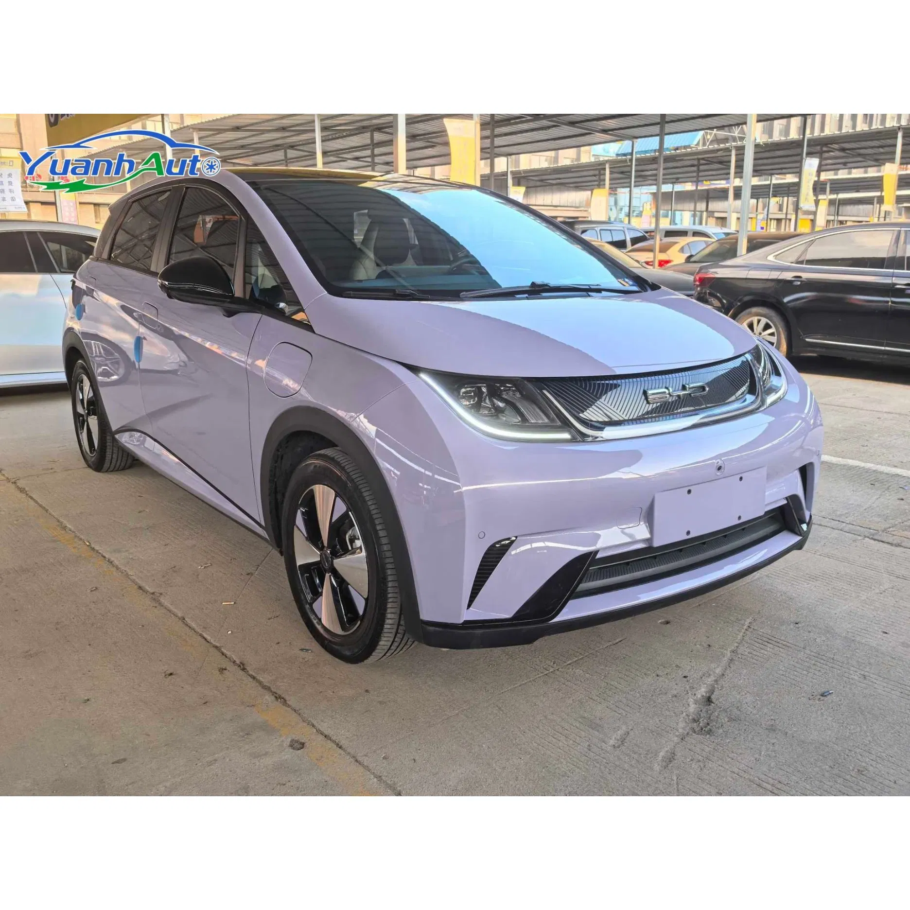 2023 BYD Dolphin vehicle photo 3