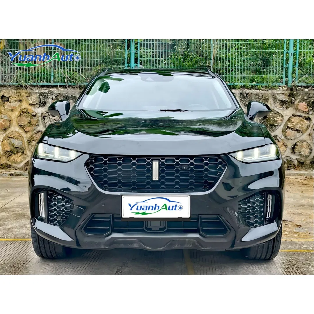 2019 VV7 vehicle photo 3