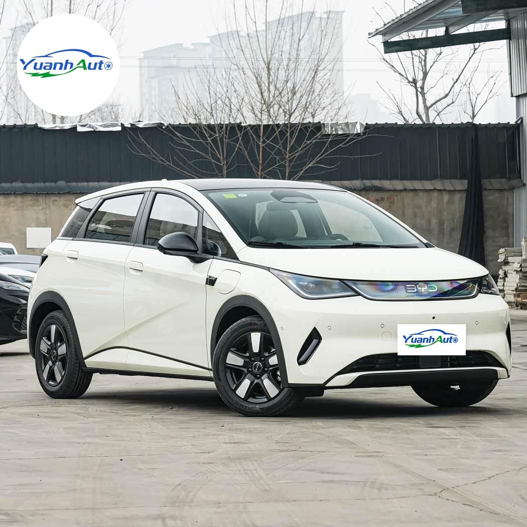 2025 BYD Dolphin vehicle photo 1