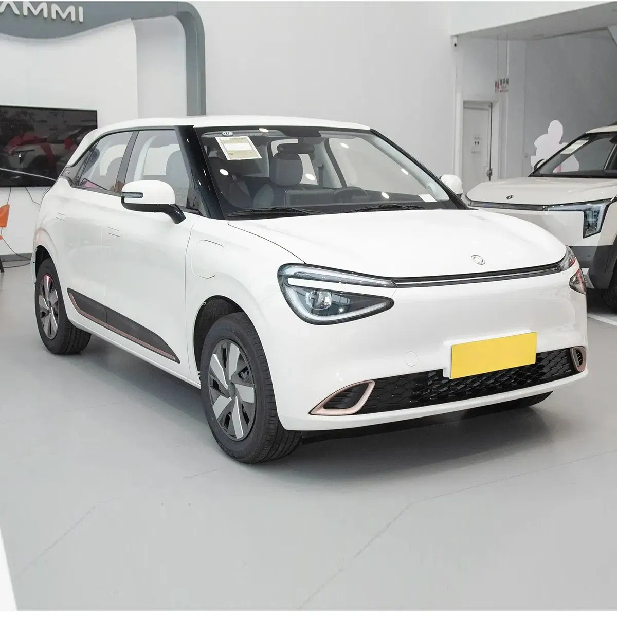 2026 Dongfeng Nano 01 vehicle photo 3