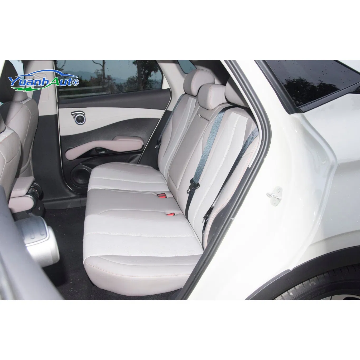 BYD Yuan Plus Electric — source image 16