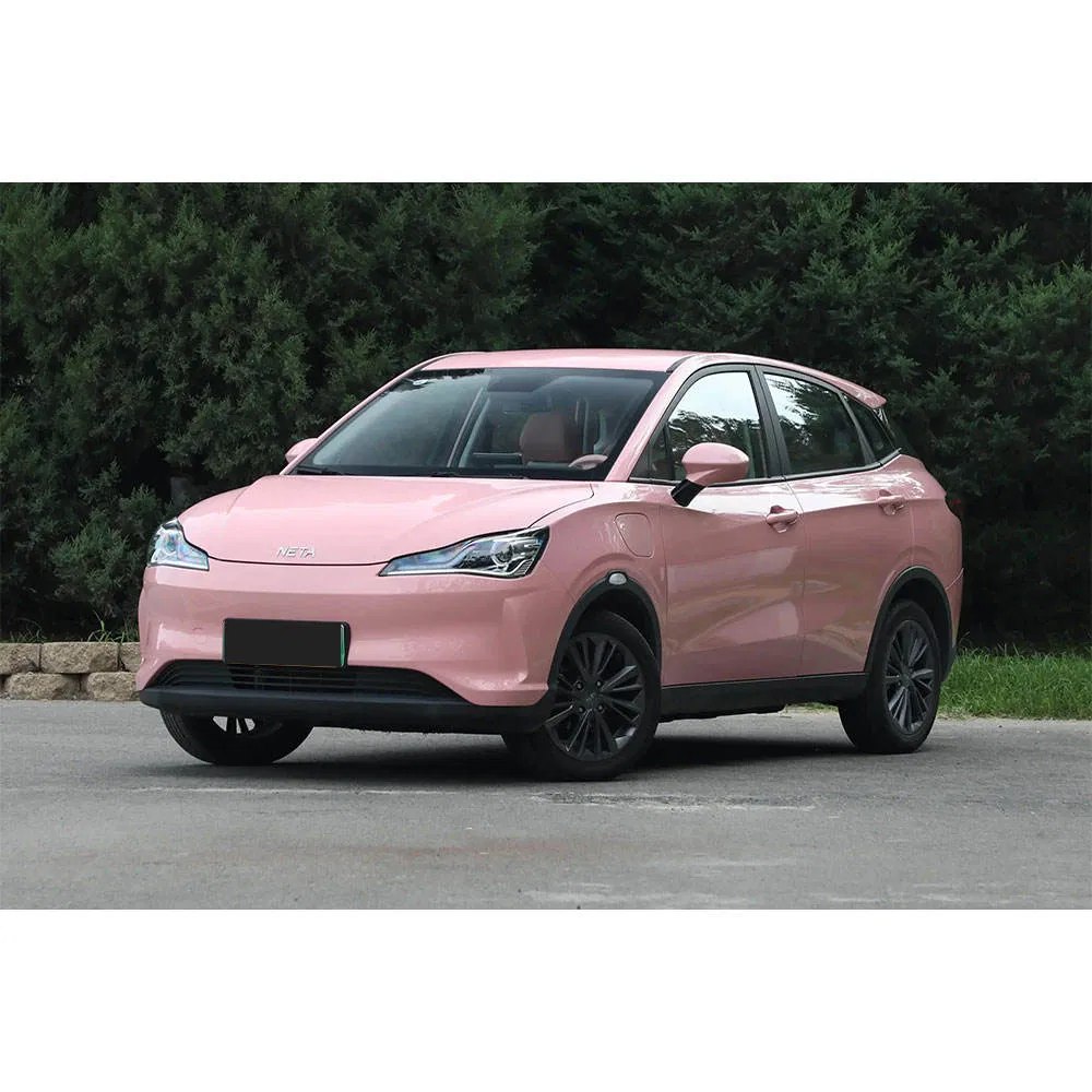 Neta v vehicle photo 3