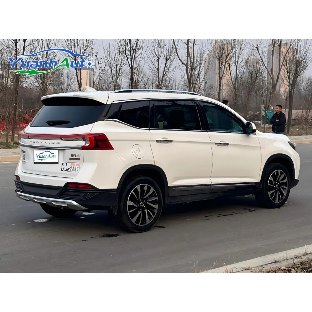 2019 Dongfeng Fengxing T5 Petrol — source image 17
