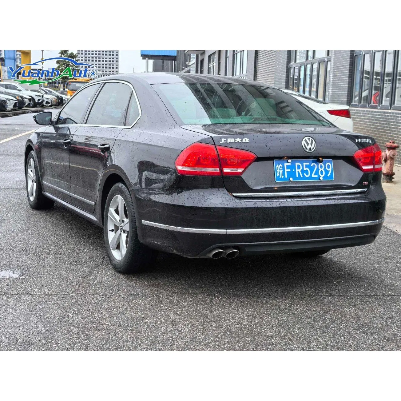 2011 Passat vehicle photo 6