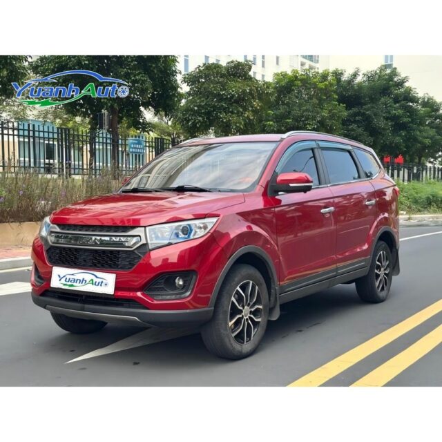 2020 Lifan Maiwei vehicle photo 1