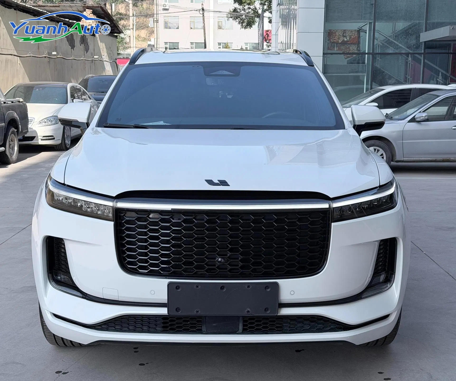 2021 Li Auto custom vehicle photo 3