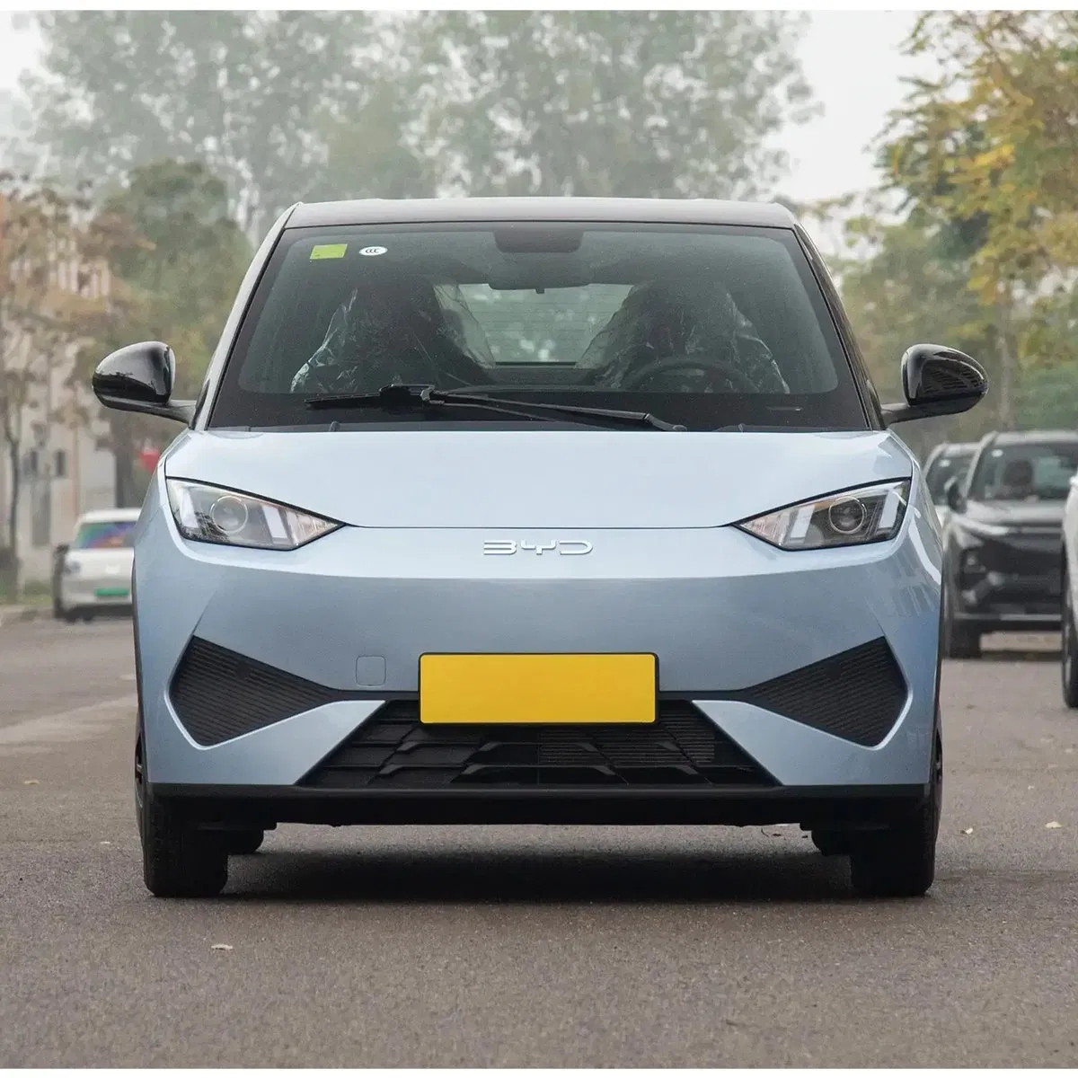 2025 BYD Seagull vehicle photo 3