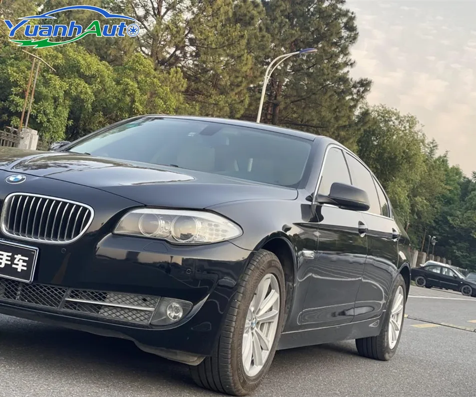 2013 BMW 5series Luxury — source image 9