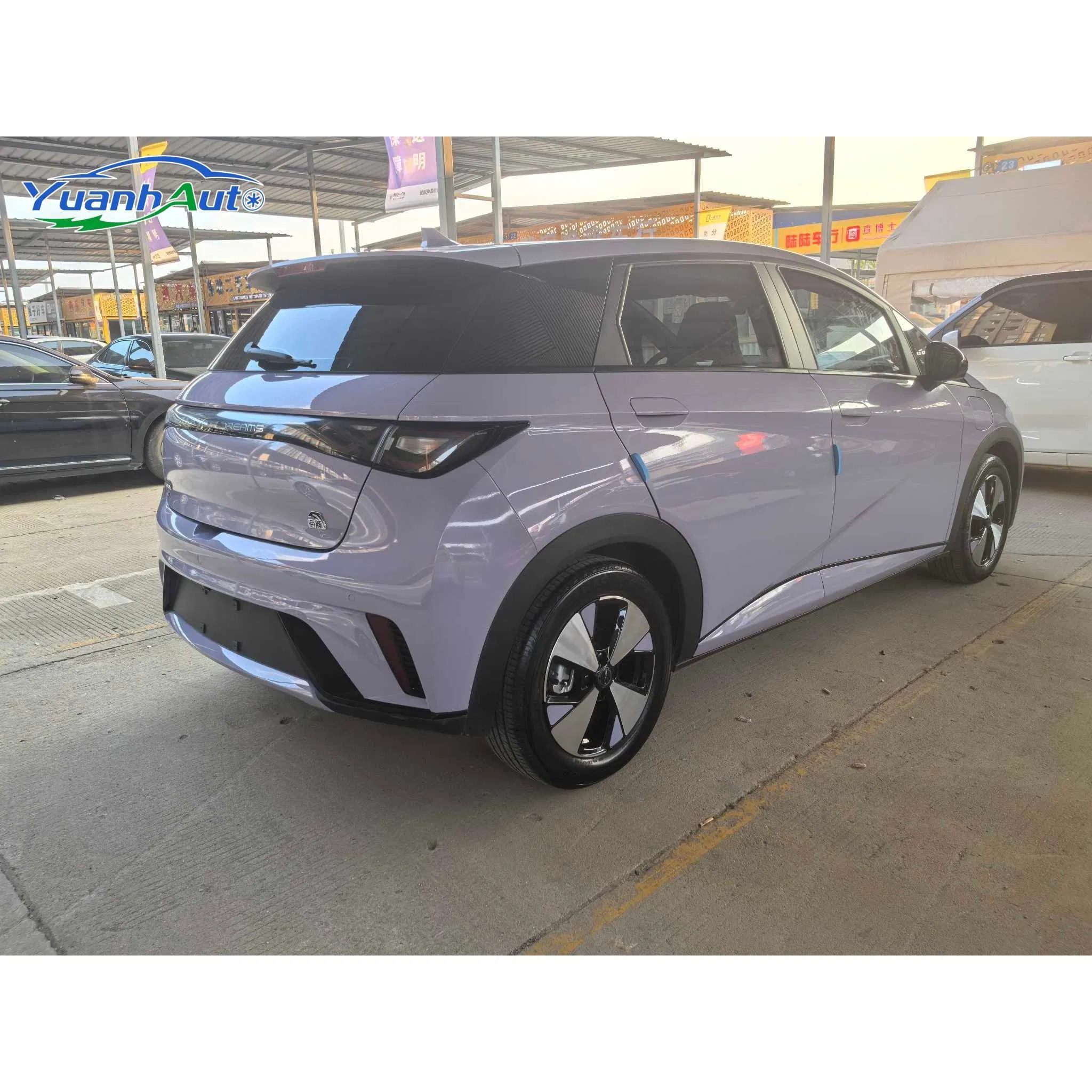2023 BYD Dolphin vehicle photo 5