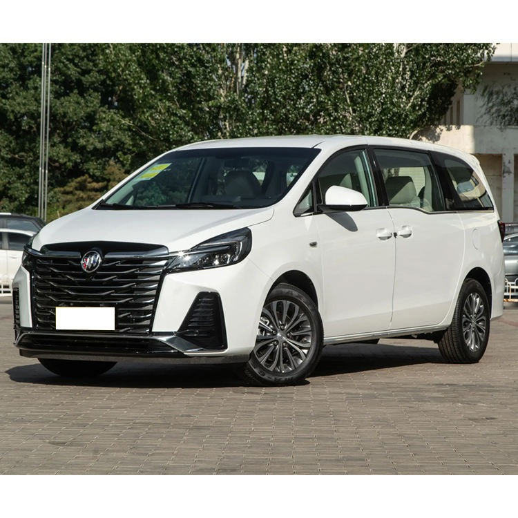 buick gl8 vehicle photo 6