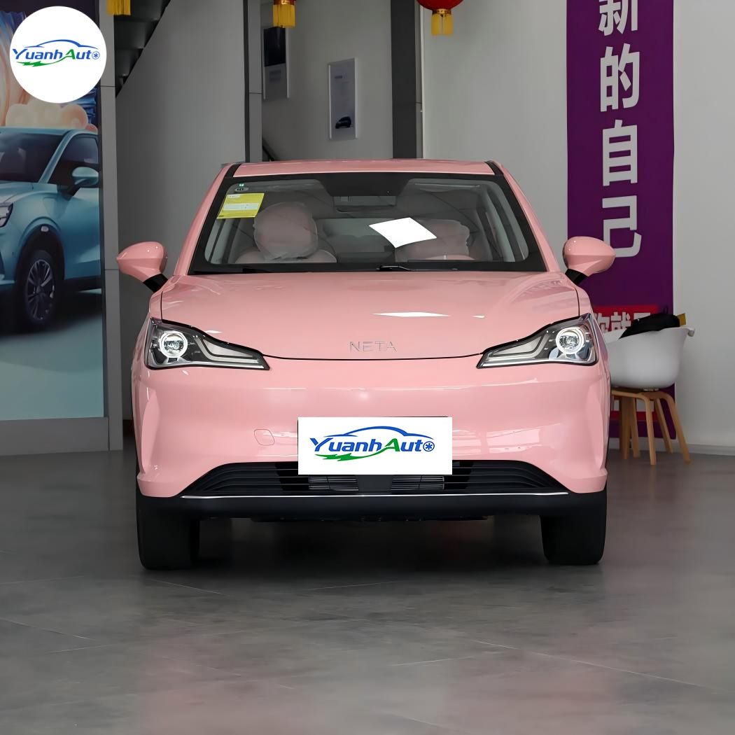 2022 Neta v vehicle photo 1