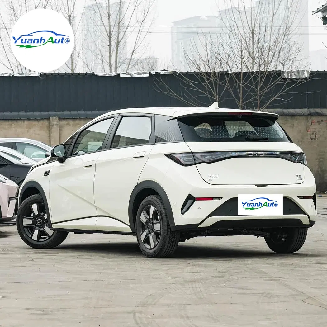 2025 BYD Dolphin vehicle photo 5