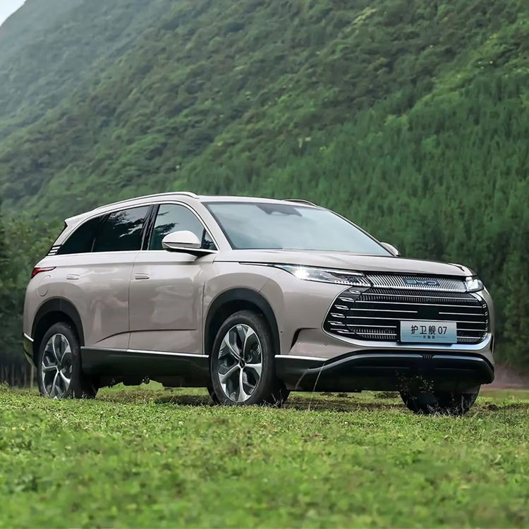 BYD Cruiser 07 vehicle photo 5