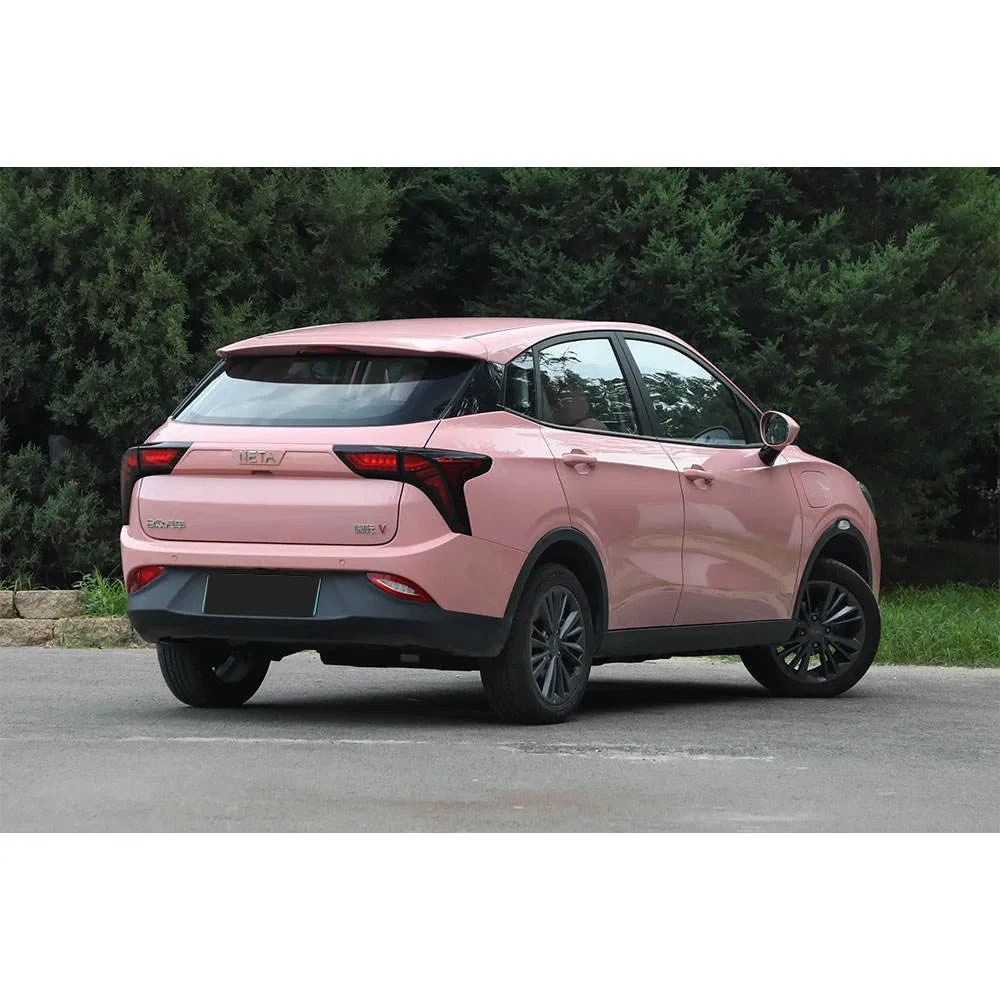 2025 Neta V vehicle photo 6