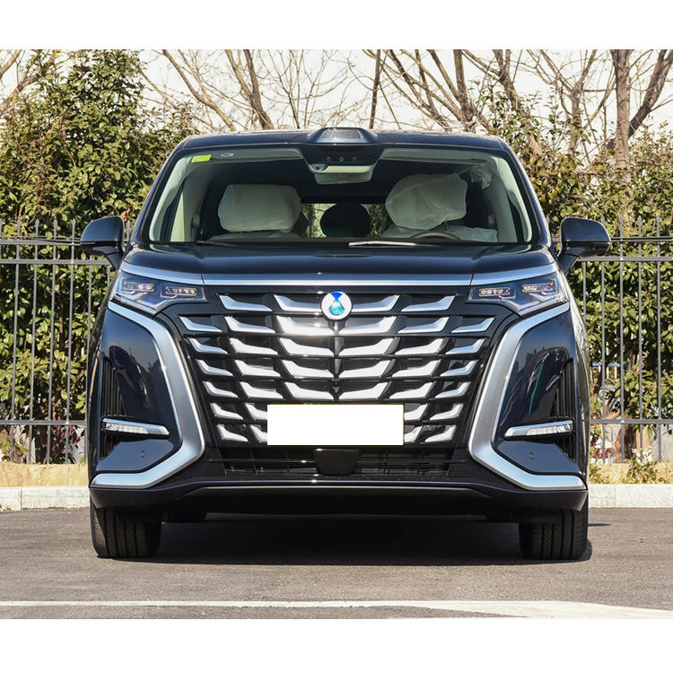 Denza D9 DM-I vehicle photo 3