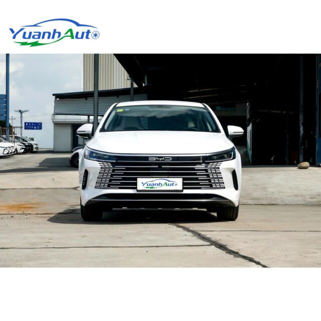 BYD Destroyer 05 vehicle photo 1