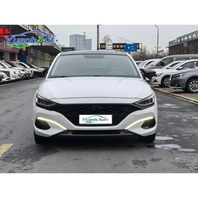 2020 Hyundai LAFESTA vehicle photo 1