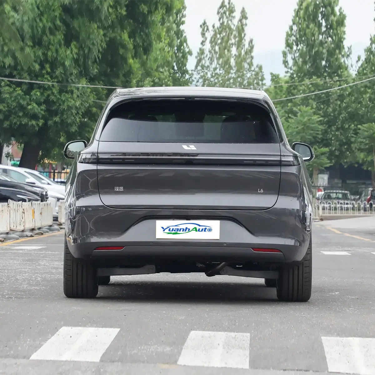 2025 Li Auto L6 vehicle photo 5