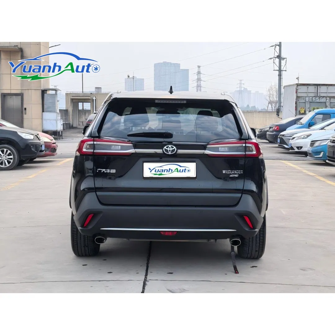 2021 Toyota Wildlander vehicle photo 6
