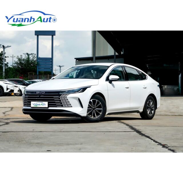 BYD Destroyer 05 vehicle photo 1