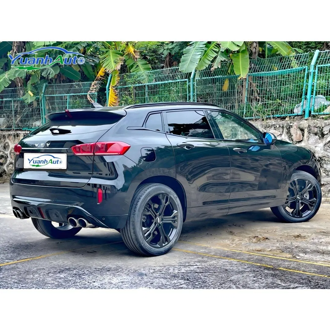 2019 VV7 vehicle photo 5