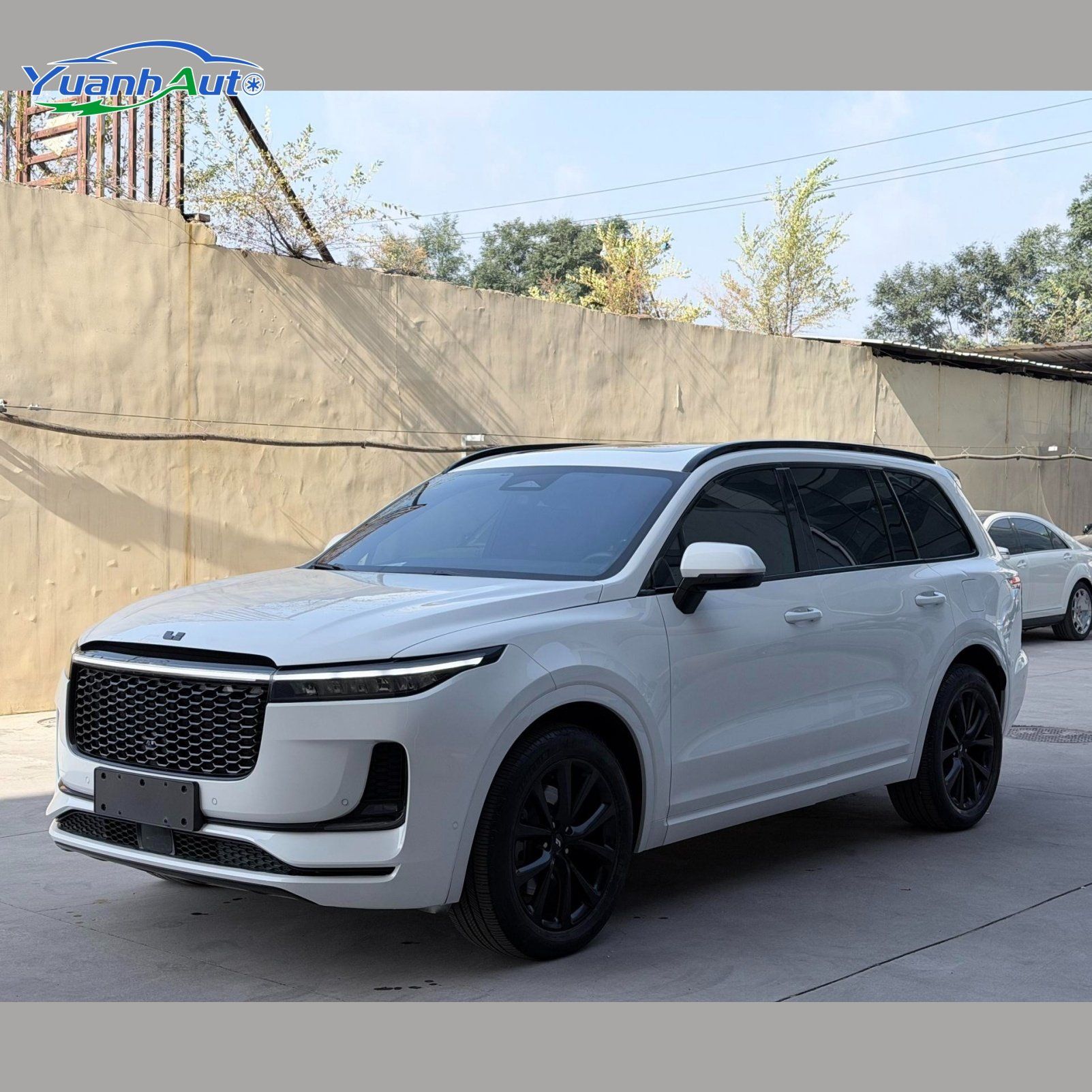 2021 Li Auto custom vehicle photo 1