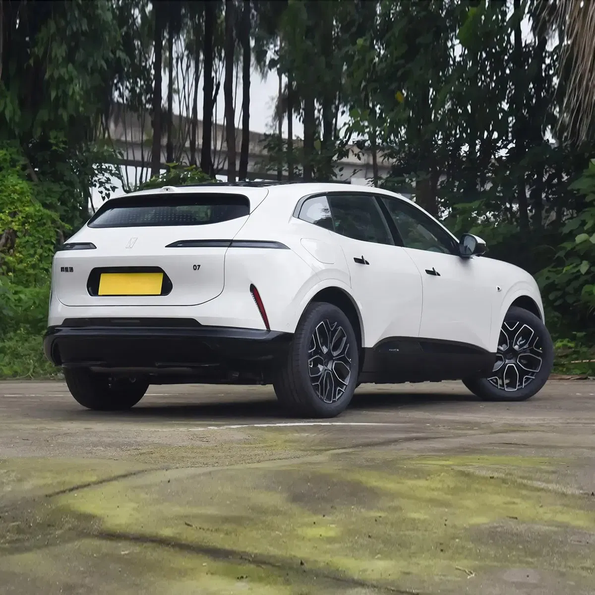 2026 custom vehicle photo 7