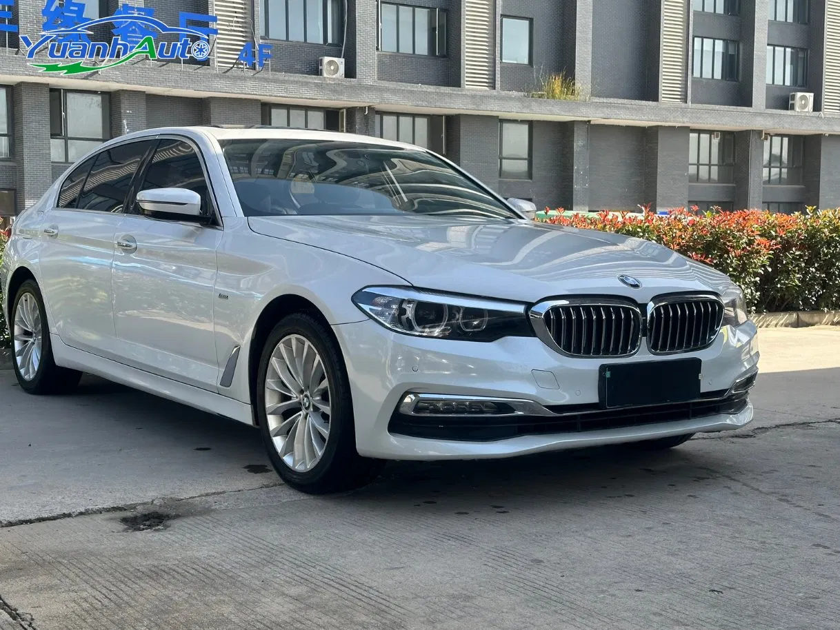 2018 BMW 525Li Petrol Sedan — source image 4