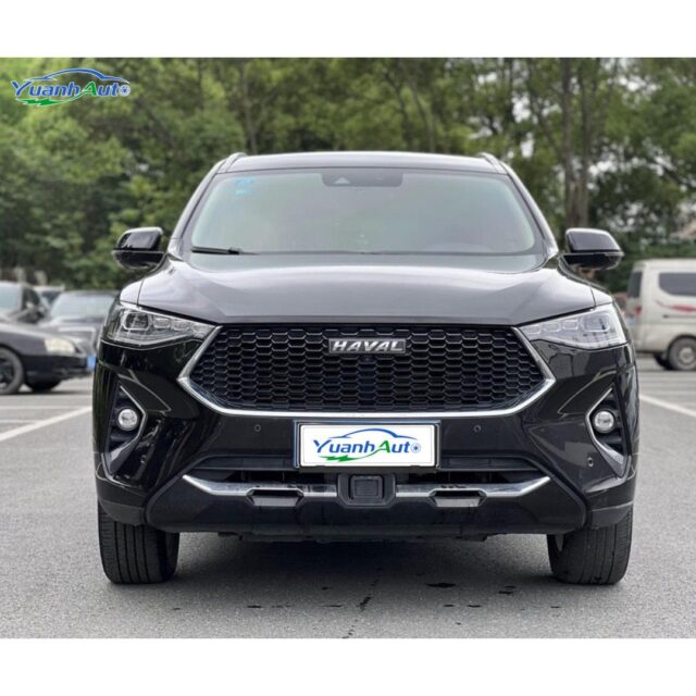 2019 Haval F7 vehicle photo 1