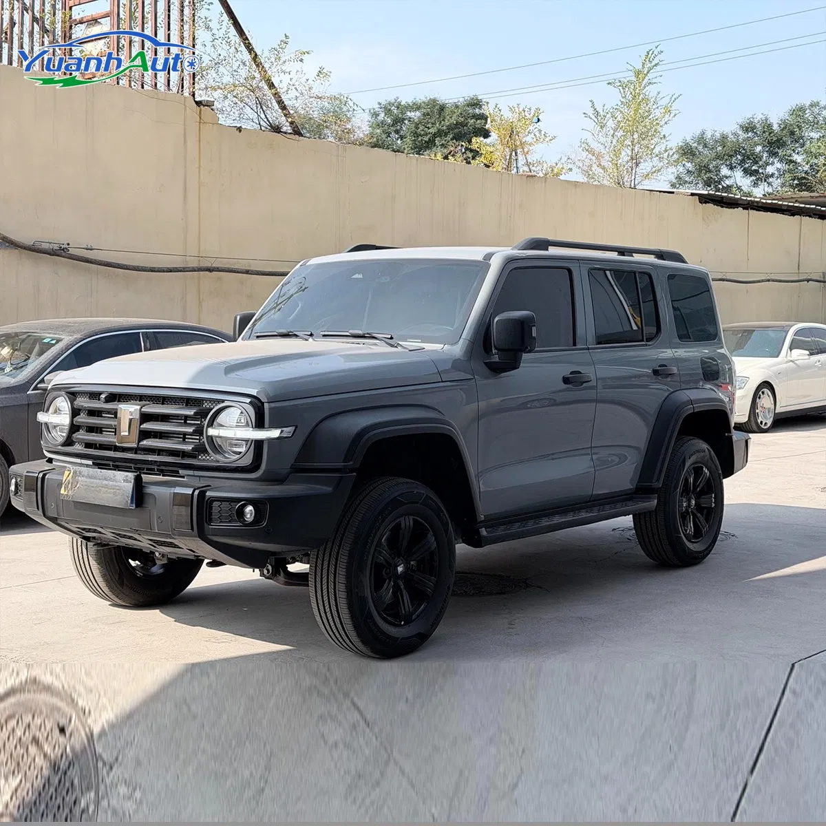2021 Tank 300 Petrol SUV — source image 2
