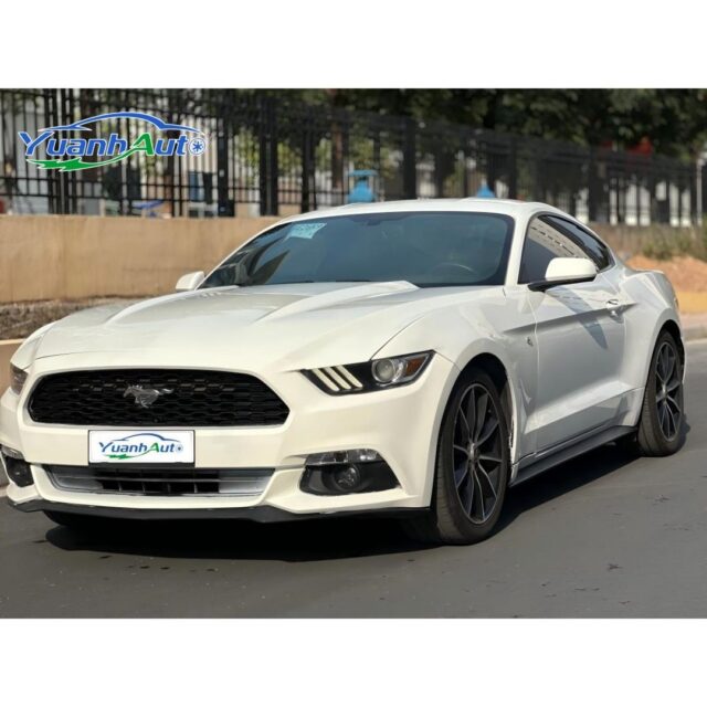 Ford Mustang vehicle photo 1
