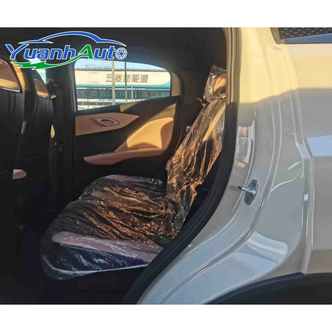 2024 BYD Seagull vehicle photo 6