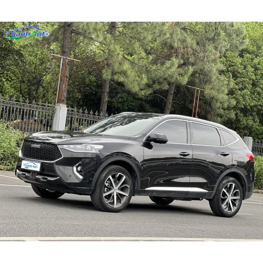 2019 Haval F7 vehicle photo 3