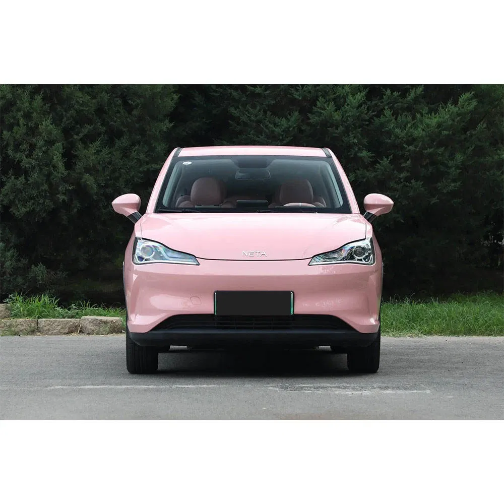 2022 Neta V vehicle photo 3