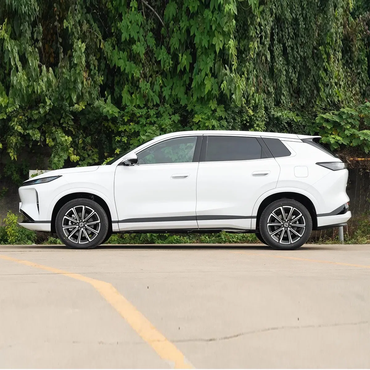 2025 Dongfeng custom vehicle photo 5