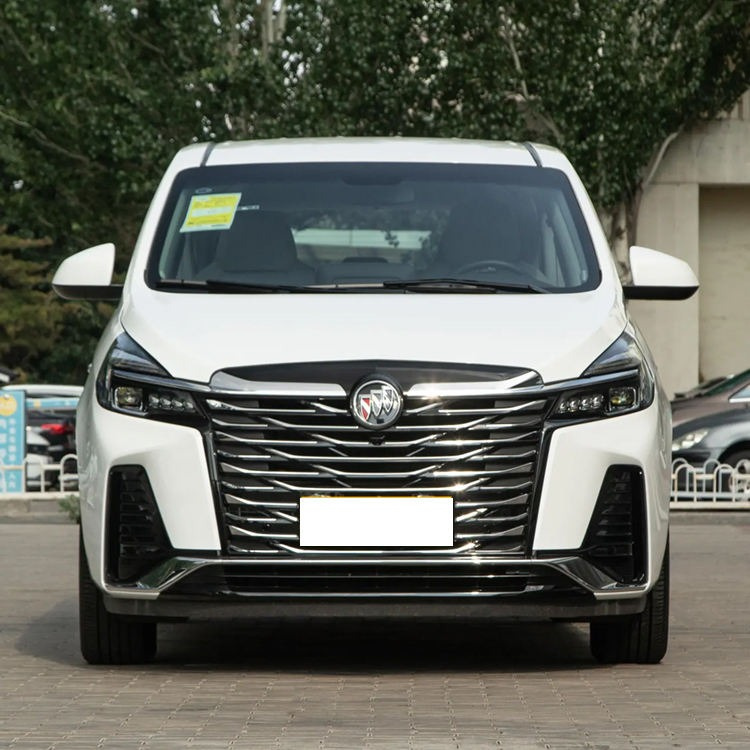 buick gl8 vehicle photo 1