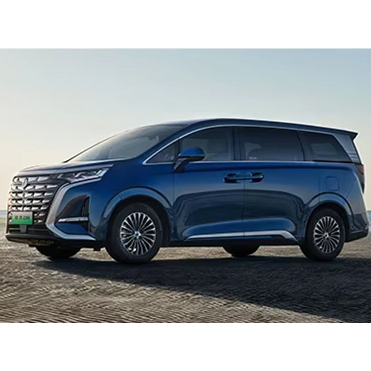 Denza D9 DM-I vehicle photo 4