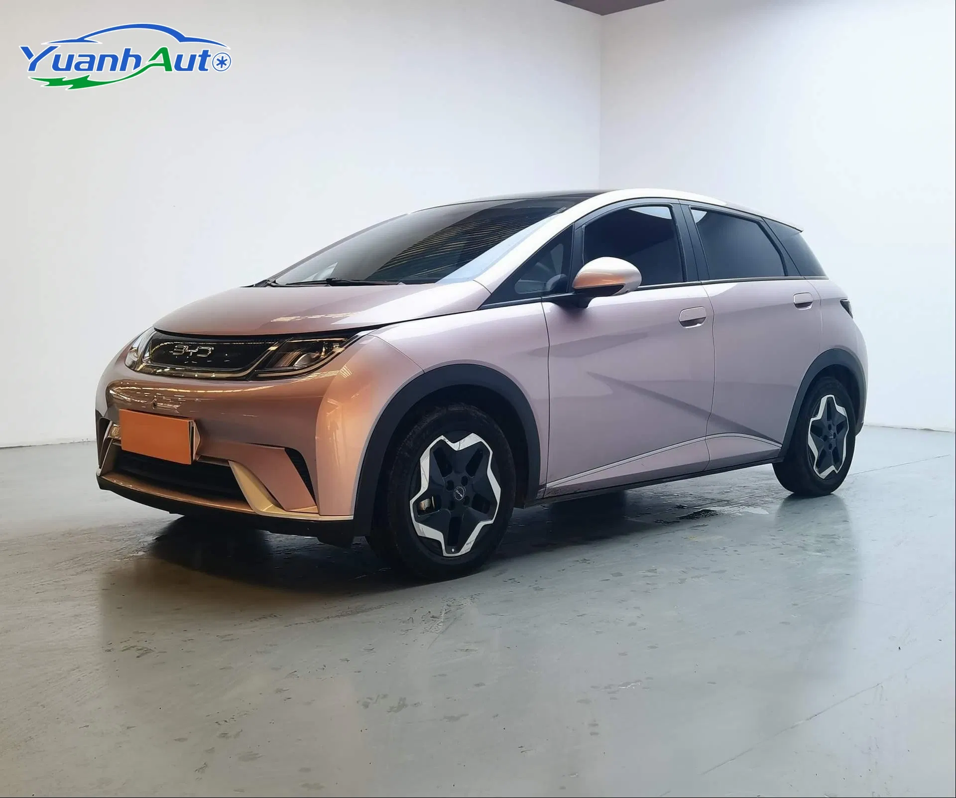 2021 BYD Dolphin Electric Hatchback — source image 11