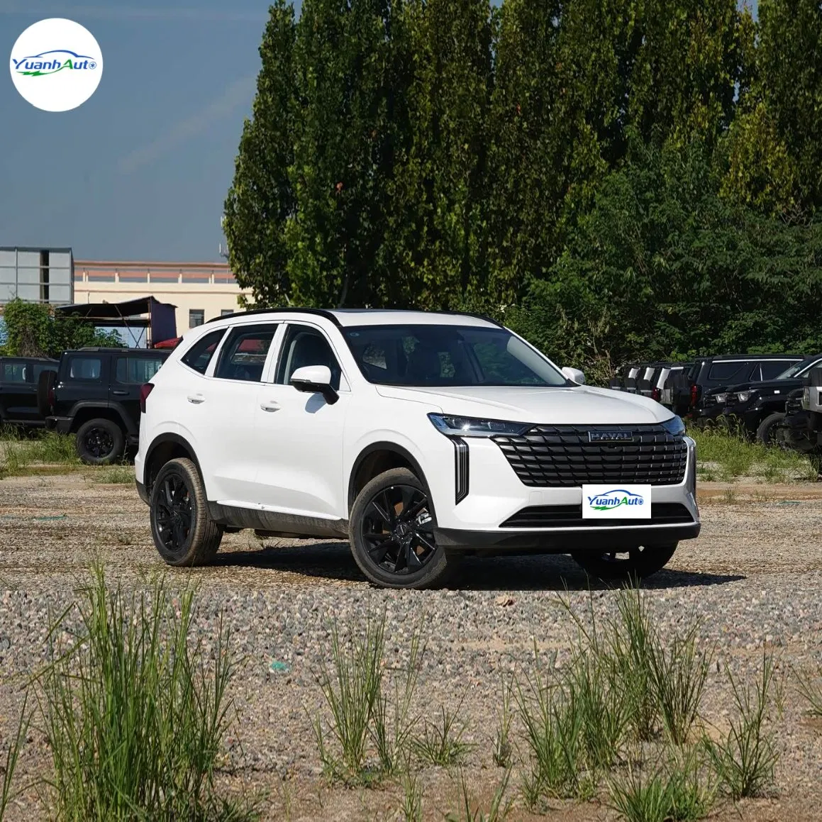 Haval Haval vehicle photo 3